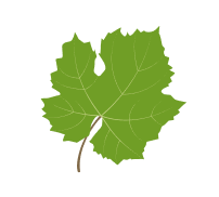 hoja