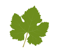 hoja